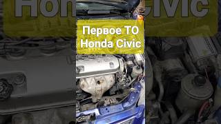 Первое ТО Honda Civic СДЕЛАНО!!! 👍 с сюрпризом 🤔