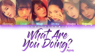 Watch Apink What Are You Doing video