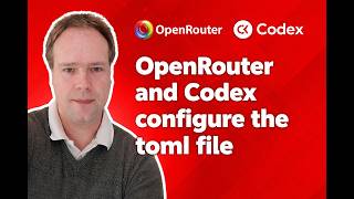 OpenRouter and Codex configure the toml file