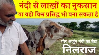 By Breeding Gir Bull - How Best Milk Producing Gir Cow & Low medical Expanse Can be Achieve