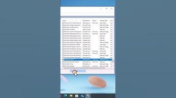 Zoekbalk werkt niet in Windows 10 (2025)