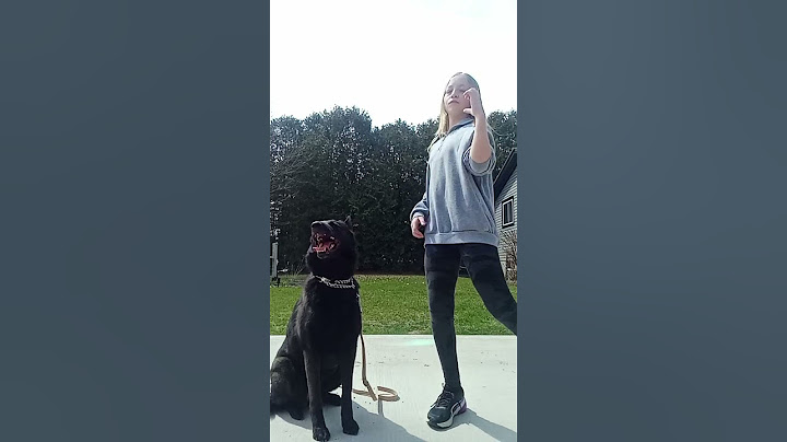 Attempted the Christian dance! 🙏❤️