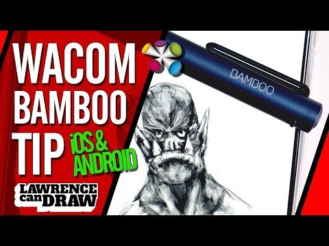 Wacom Bamboo Sketch pen, for iOS, black - Eventus Sistemi