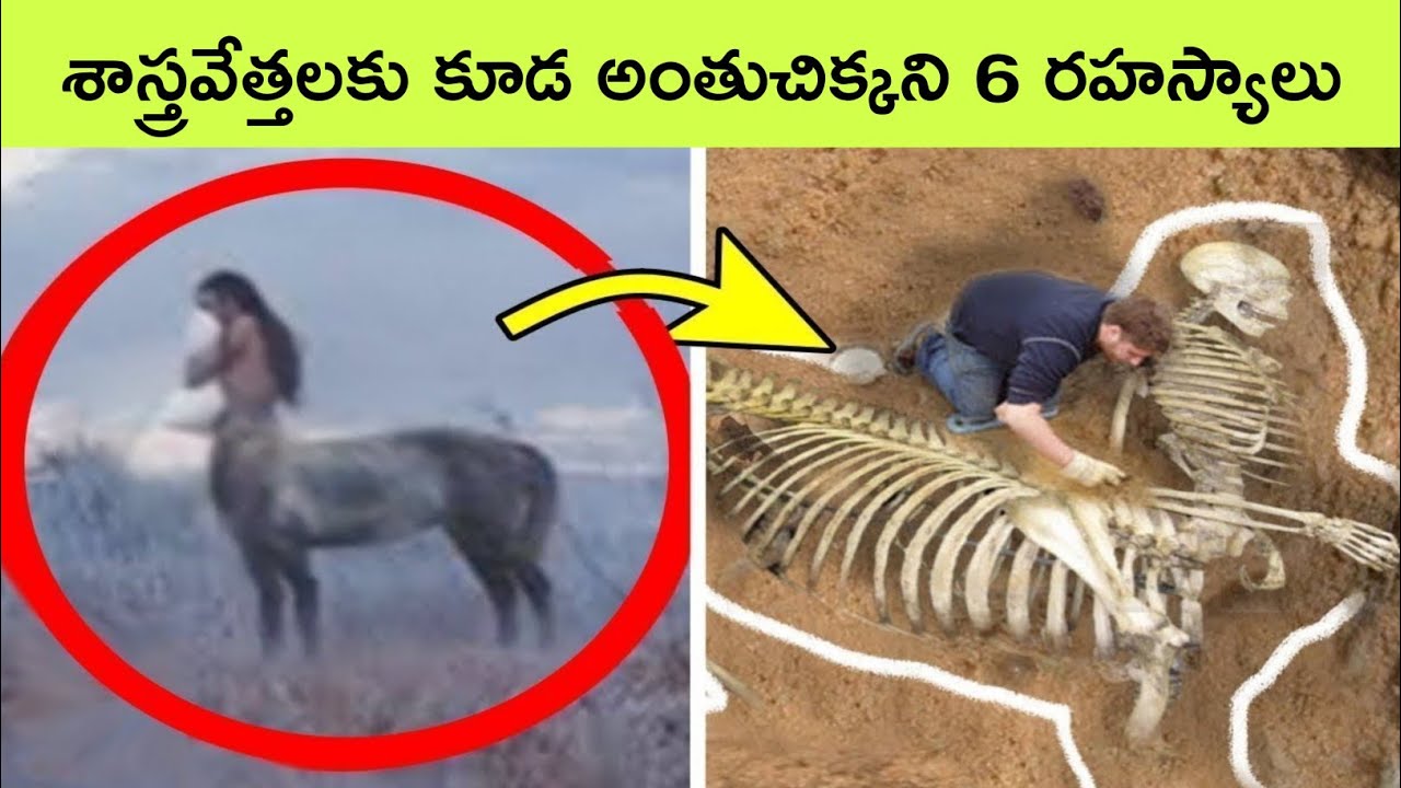 Top 6 Amazing archeology discoveries Facts in Telugu Shark fossils