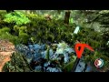 The Forest (как я не достроил дом) PC 2014