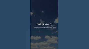 سورة_النساء  آية ٧١ ||حالات واتس قرآن || تلاوة #مشاري_العفاسي