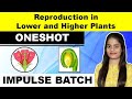 Reproduction in Lower and Higher Plants | Impulse Batch | Biology Maharashtra State | MHT-CET 2021