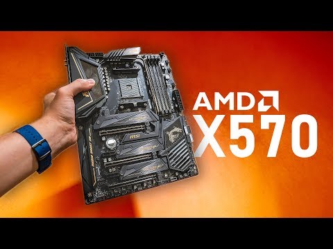 AMD