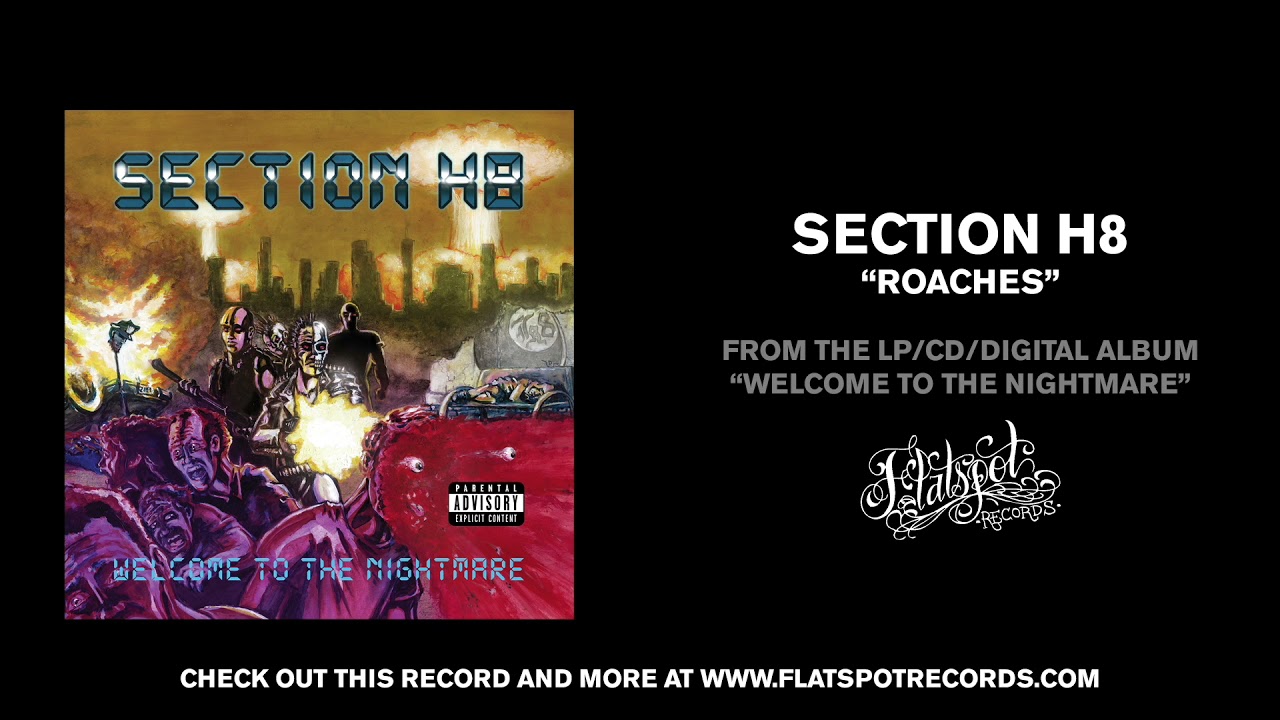 Watch Section H8 - Roaches on YouTube Watch Section H8 - Roaches on YouTube