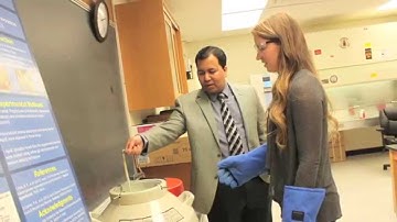 Choose Engineering at Widener