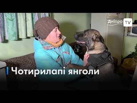 🐕‍🦺 Безхатні собаки врятували волонтерку