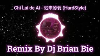 Chi Lai De Ai - 迟来的爱 (Electro HardStyle) By Dj Brian Bie #electro #hardtechno #bootleg #djhardremix