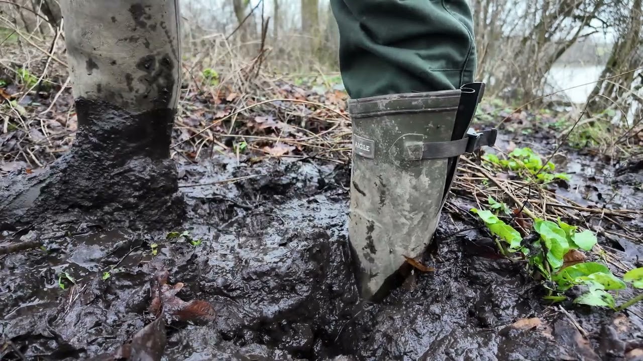 Aigles Parcours 2 Vario Sinking in a Forest Bog Part 1