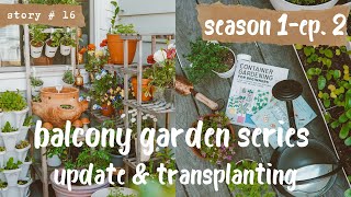 ‍Growing a VEGETABLE GARDEN on a SMALL BALCONY | Transplanting,DIY Trellis & Raised Bed S1 PART 2