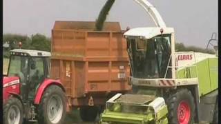 Silage 2010.