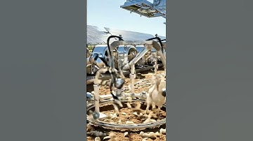 How is this massive rotating automation system #Machinery #FutureFarm #mystery #Robotics #shorts