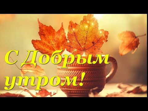 С Добрым Утром! Хорошего Дня! Красивые Пожелания Доброго Утра!