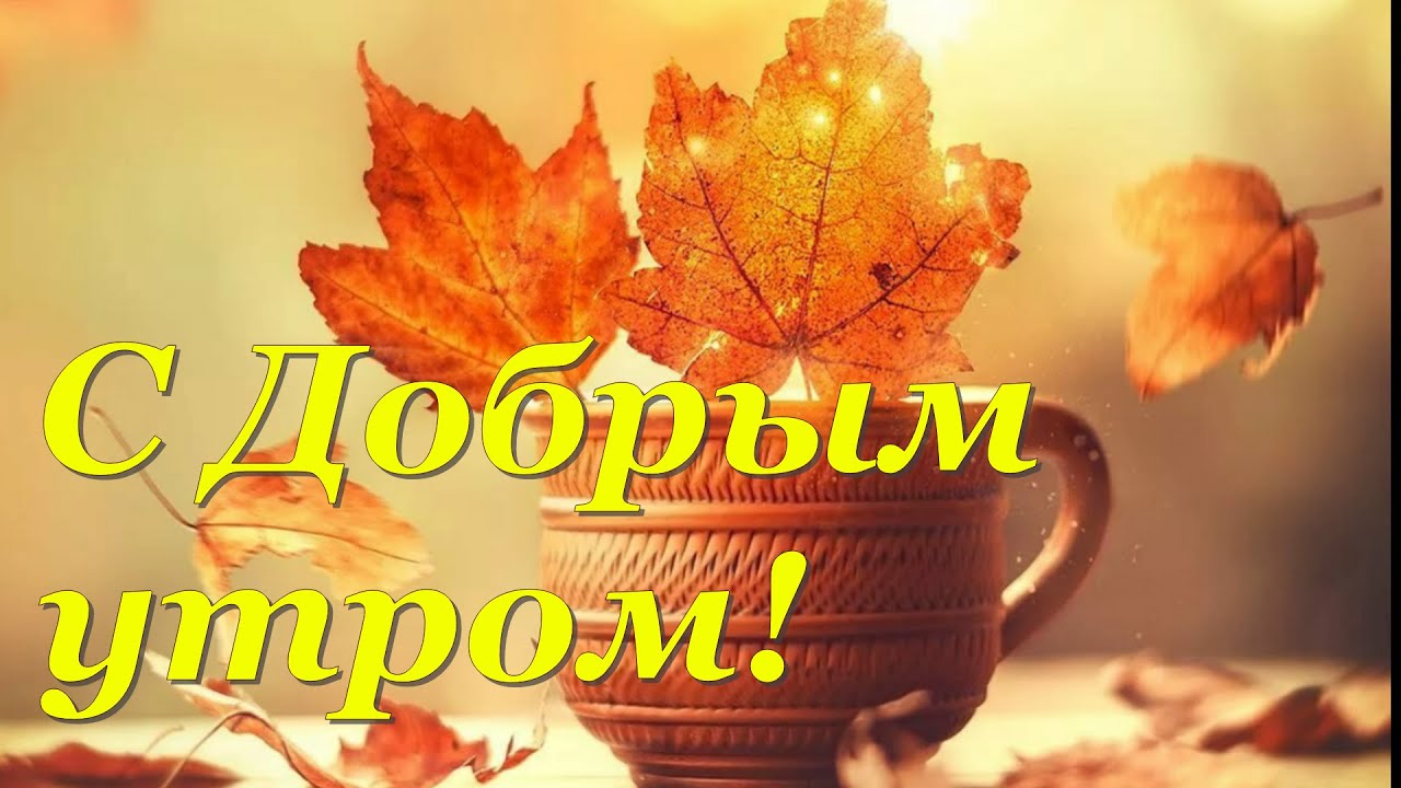 Доброе благословенное утро осень. Хорошего дня и счастья осенняя. С добрым утром осенним с пожеланиями. Солнечного осеннего дня. Доброе утро октябрьское утро.