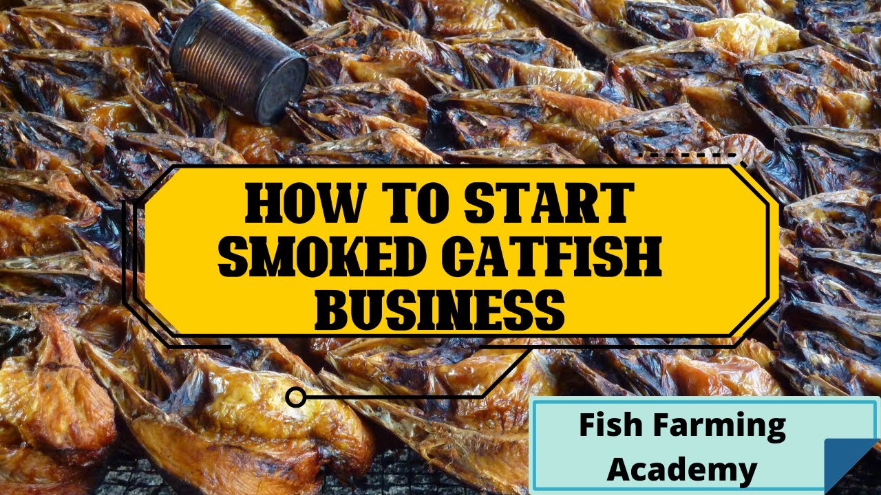 smoke fish business plan in nigeria