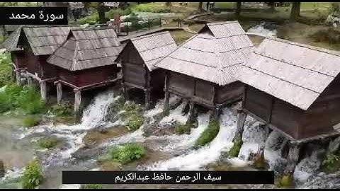 سورة محمد || الشيخ سيف الرحمن حافظ