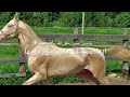 يامدور عيوب خلق الله وكلك عيوب