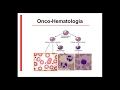 (28-06-2017) Leucemia Linfocítica Aguda  Avances en el tratamiento