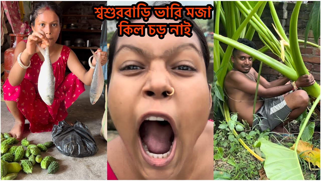 আজ শ্বশুরবাড়িতে খুব আনন্দ করলাম এবং জমিয়ে খাওয়া দাওয়া করলাম 🤗🤗 পুরোটা ব্লকের মাধ্যমে তুলে ধরলাম