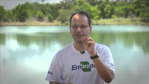 Como se formam os caminhos da água em uma bacia hidrográfica?