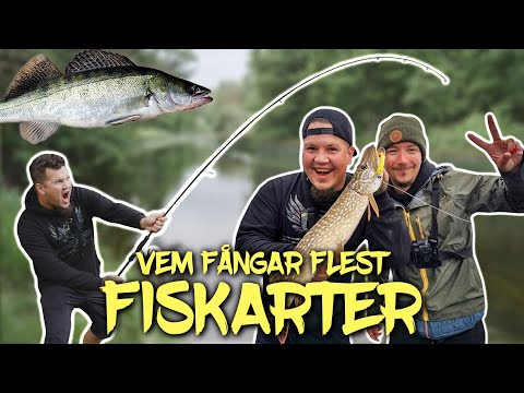 Video: Vem är en fånge?