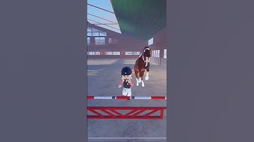 𝐌𝐞 𝐚𝐧𝐝 #𝐁𝐔𝐆 𝐝𝐢𝐝 𝐚 𝐣𝐮𝐦𝐩 𝐭𝐨𝐠𝐞𝐭𝐡𝐞𝐫!!