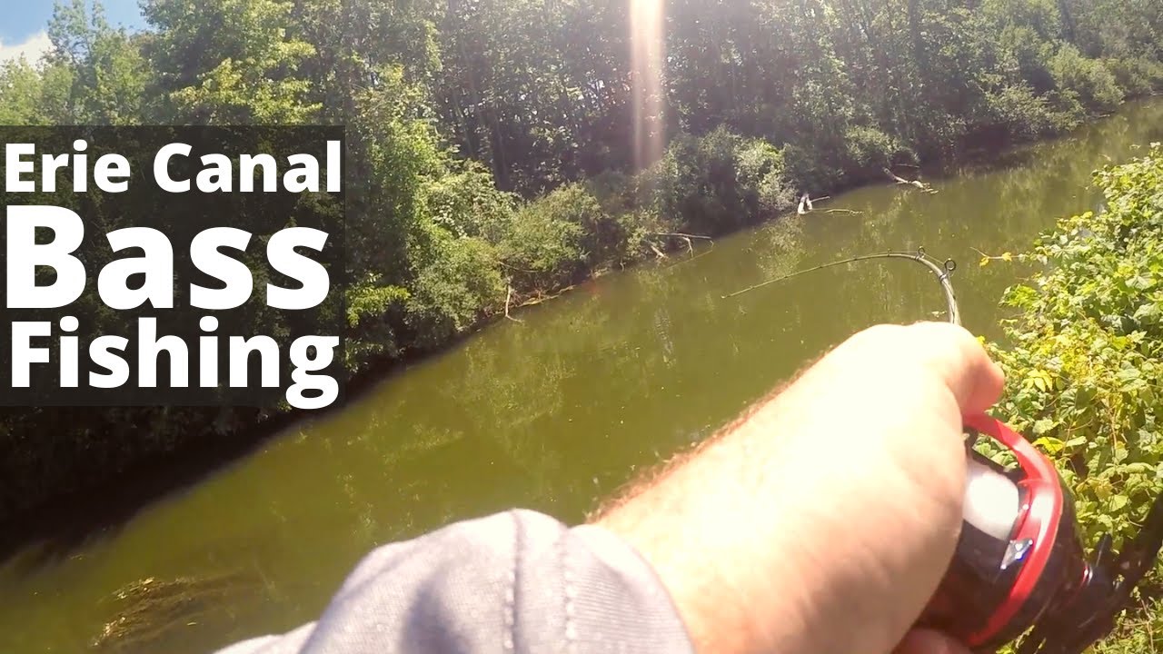 Erie Canal Bass Fishing 2022 