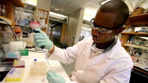 REU Introductory Video