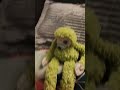 #music #memes backroms edit peluches #yosoydelos7mil