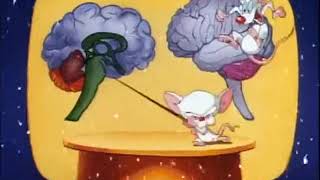 Pinky And The Brain Christmas Intro - Russian