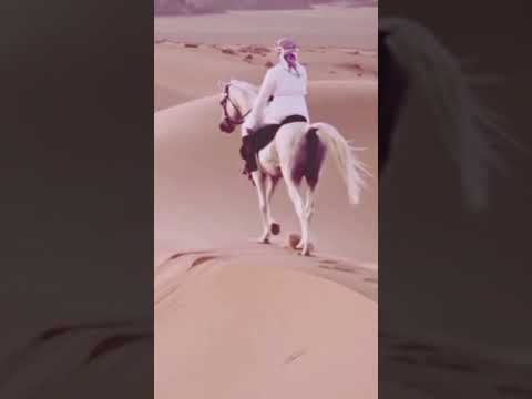 عبدالله يا مخاوي الدالة Freefire Viral مستر بيست ارحبوو حزينة ستوريات Motivation 