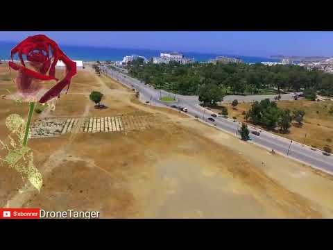 بلادي لك فؤادي
