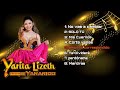 Mix Yarita Lizeth Yanarico 2024 ( la chinita del amor ) solo éxitos