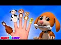 Песня семьи пальчиков, детский день специальные + Более учусь видео для детей