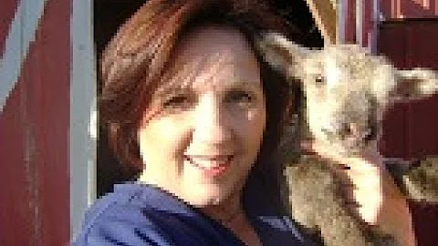 Jeanette Vaughan at McKinney Book Festival