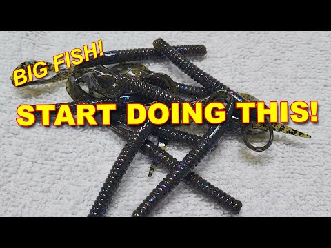 Bass Fishing Plastic Worms From Shore