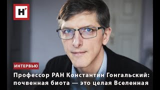картинка: ПРОФЕССОР РАН КОНСТАНТИН ГОНГАЛЬСКИЙ: ПОЧВЕННАЯ БИОТА — ЭТО ЦЕЛАЯ ВСЕЛЕННАЯ