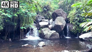 4k forest river relaxing natural river sounds | ASMR | 6 HRS