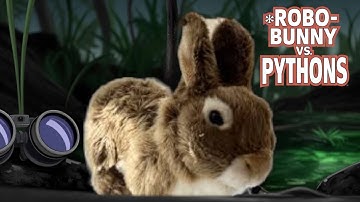 robo-bunny: This tiny, furry robot is taking on invasive pythons in Florida