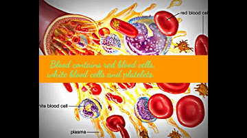 5 FACTS ABOUT BLOOD