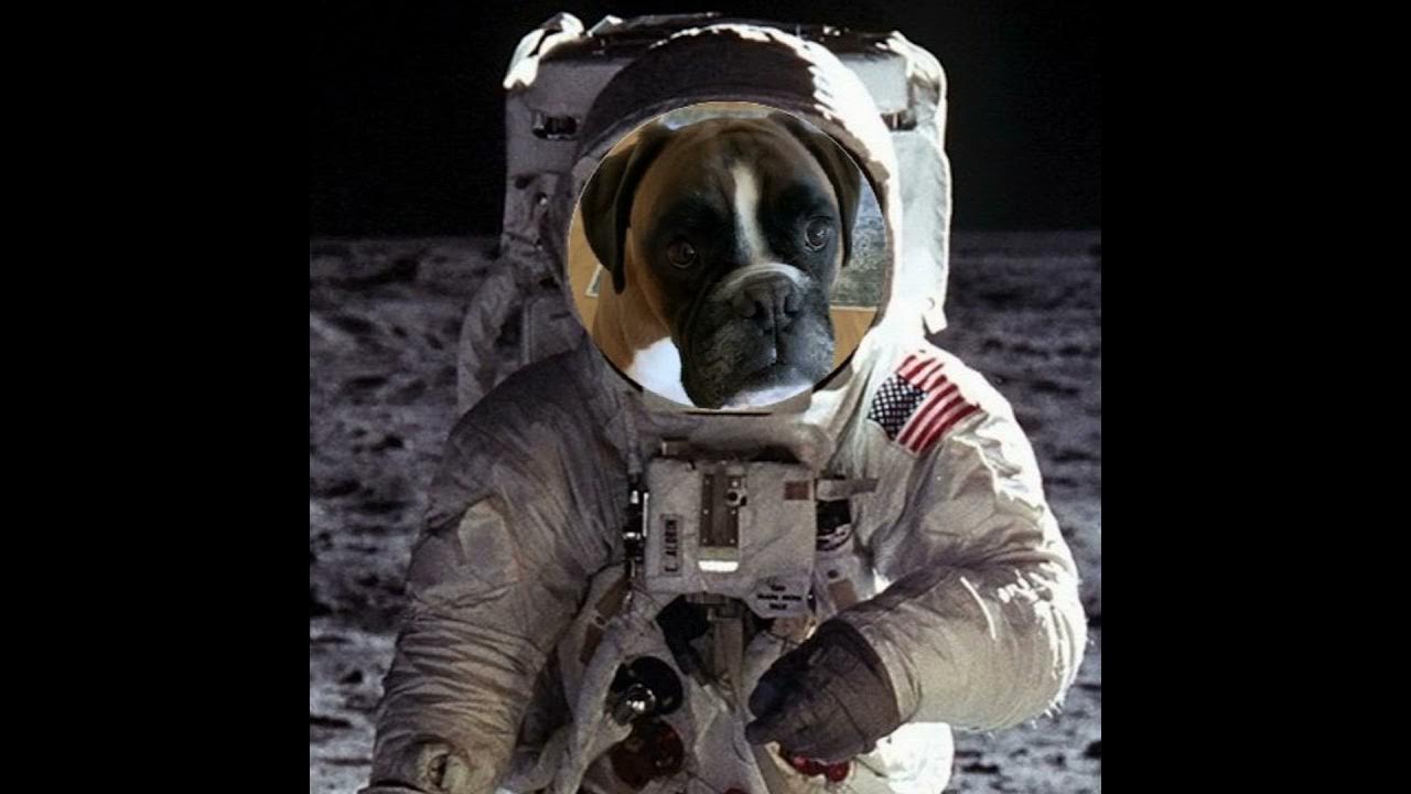 What Would You Need T0 Go To Mars? Susan Berk Koch YouTube Music