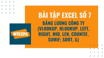 Bài tập excel số 7 - Bảng lương công ty (vlookup, hlookup, xử lý chuỗi, countif, sumif; sort, &)