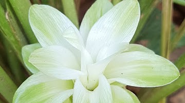 Only geniuses can find the odd number out? #brainteaser 