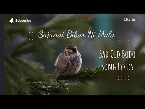 Sujunai Bibarni Mala  Old Bodo Song  Bodo Song Lyrics  Classic Old Bodo Song  Bodo Song  Boro