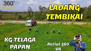 Ladang Tembikai Kampung Telaga Papan | Aerial 360 VR