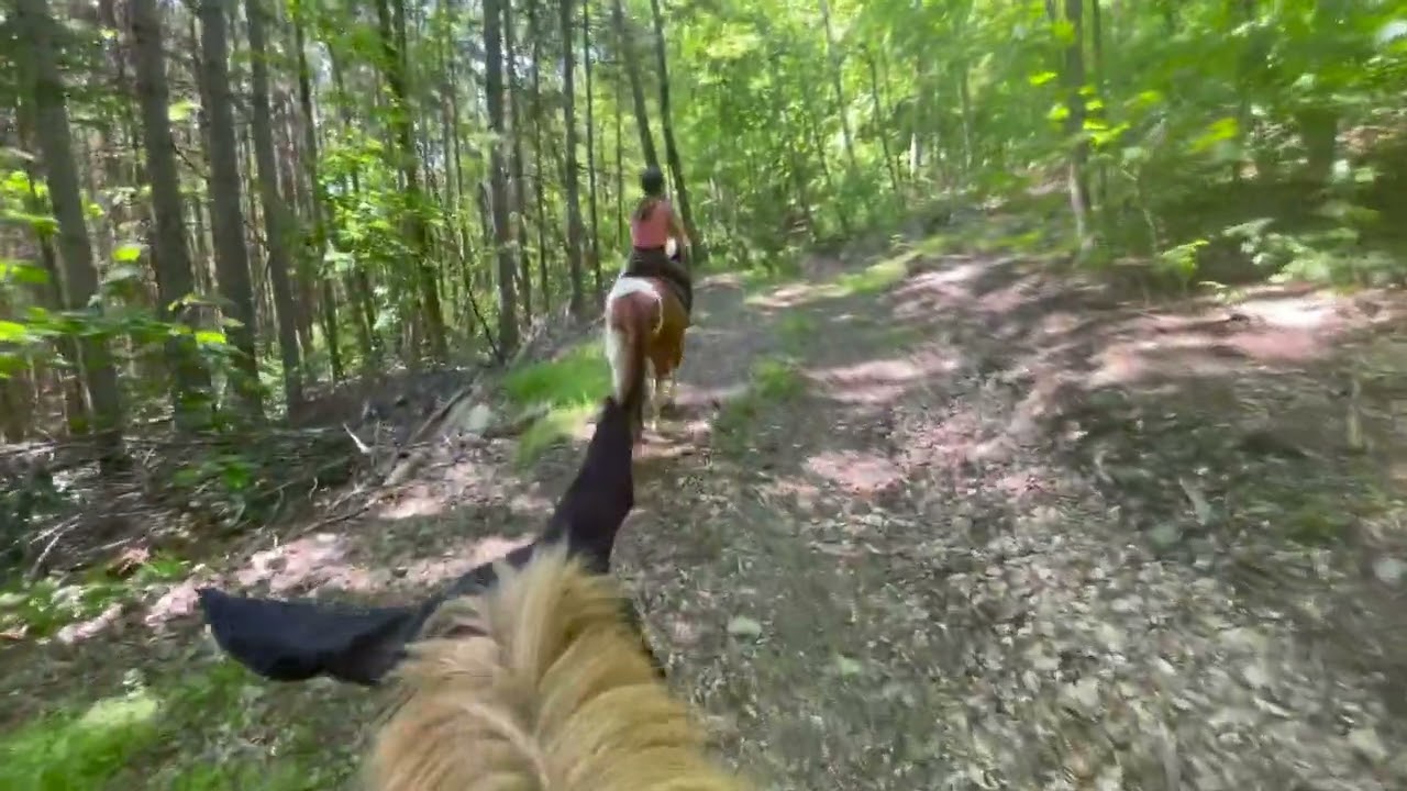 Hops 5/30/23- in the barn and trail